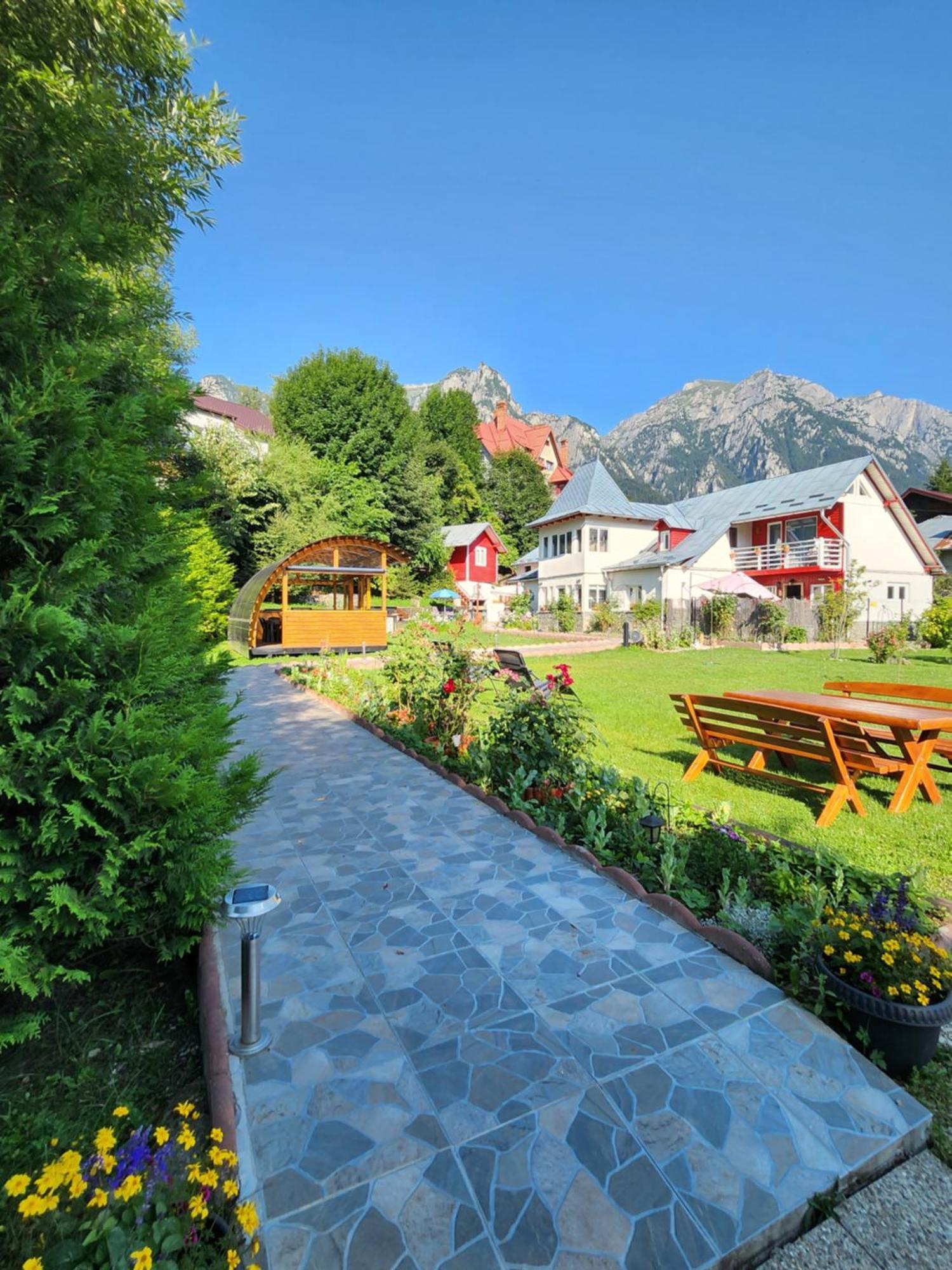 Casa Turta Dulce Ξενοδοχείο Buşteni Εξωτερικό φωτογραφία